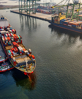 Sea Freight Export & Import